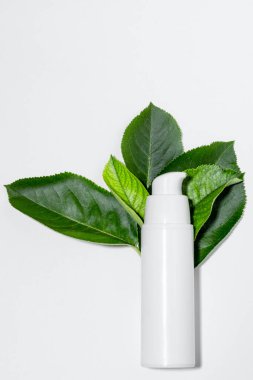 Yüzü nemlendirmek ve temizlemek için kozmetik kremi. Beyaz tüpler ve doğal bitkilerin yaprakları içinde krem ya da yüz maskesi. Boş alanı olan beyaz şişe