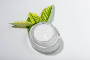 Doğal malzemeli kadın kozmetiği. Yüz ve vücut bakımı için. Beyaz arka planda taze otlarla birlikte çevre dostu yüz kremi tüpü. Boşluğu, düzeni kopyala