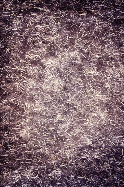 Fibres naturelles de papier — Photo