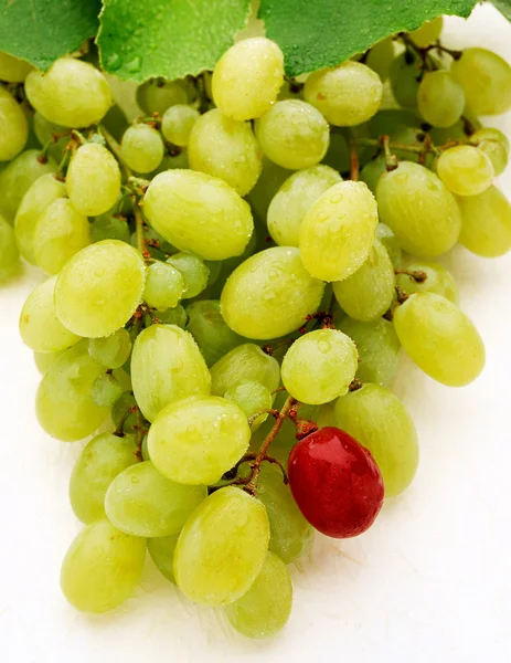 Green table grapes — Stock Photo, Image