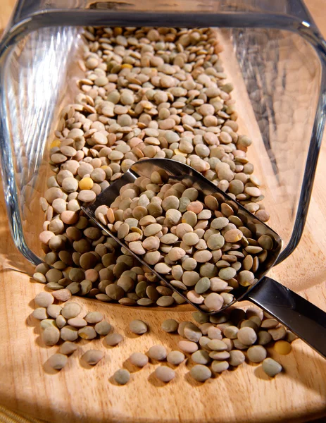 Scoop of dried lentils — Stock Photo, Image