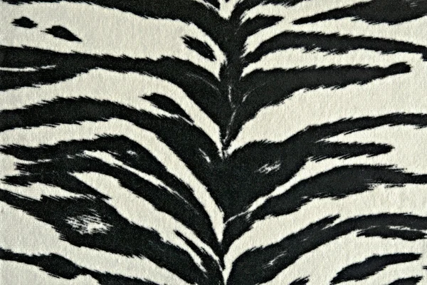 Black and white zebra stripes — Stock Photo, Image