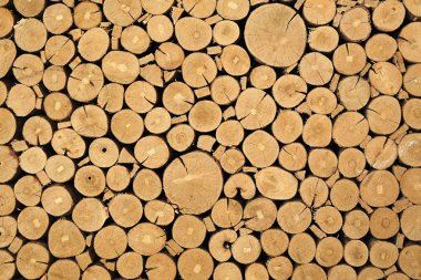 Texture of cut timber logs clipart