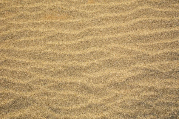 Vent ondulé sable soufflé — Photo