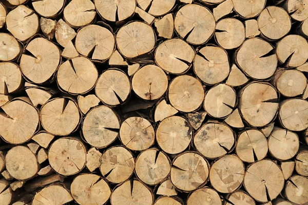 Baumstämme in einem Holzstapel gestapelt — Stockfoto