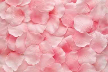 Beautiful delicate pink rose petals clipart