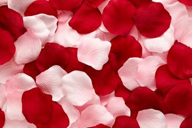 Romantik Kırmızı ve pembe gül yaprakları romantik kırmızı ve pembe gül yaprakları