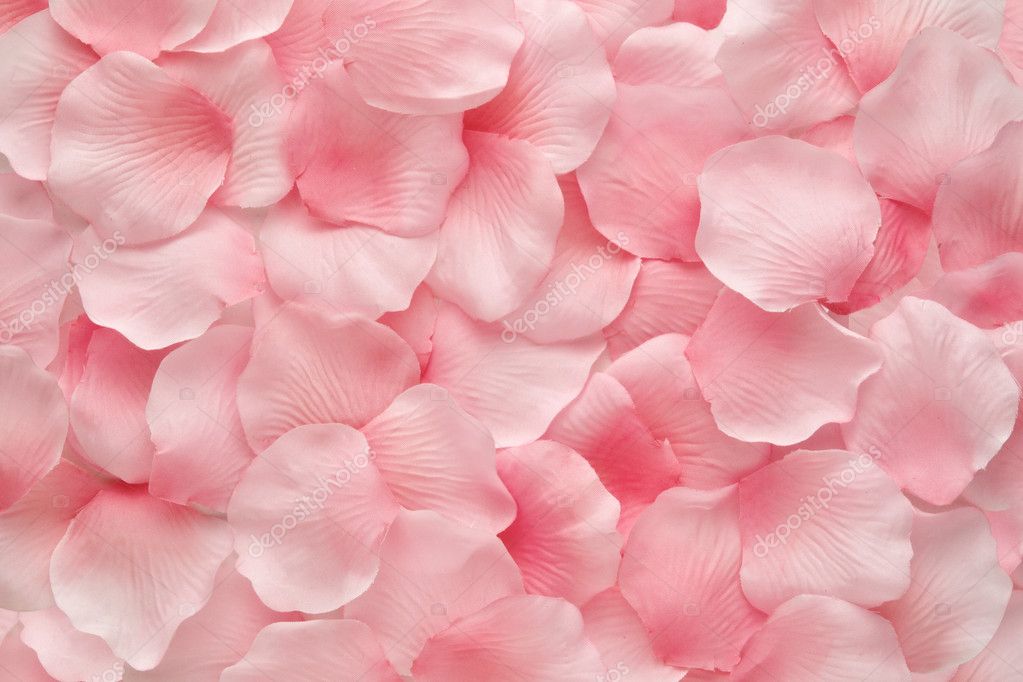 Background texture of beautiful delicate pink rose petals Stock Photo -  Alamy