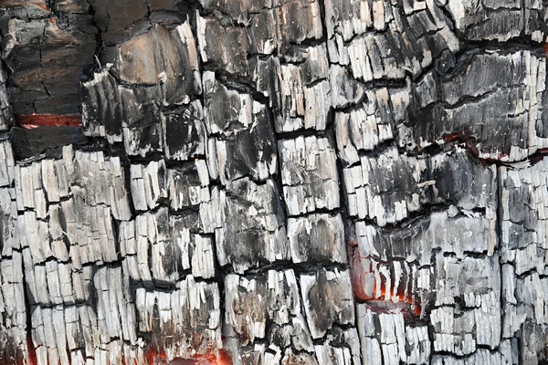 Detail of burnt wood — Stock Photo, Image