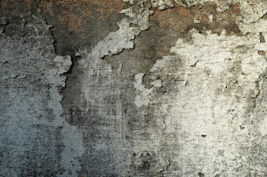 grungy peeling alçı duvar grungy peeling sıva duvar