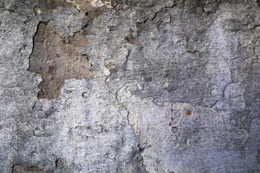 hasarlı dökülüyor sıva ile hasarlı dökülüyor alçı aşınmış duvar ile aşınmış duvar