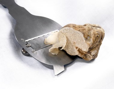 Slicing a white truffle clipart