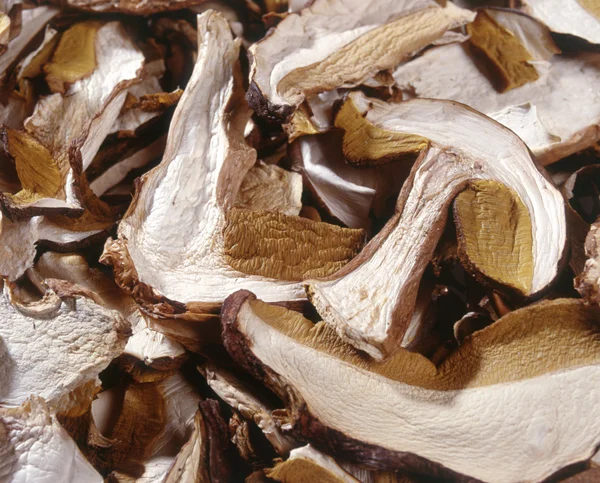 말린된 슬라이스 버섯 — 스톡 사진