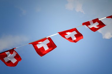 İsviçre bayrağı kiraz kuşu