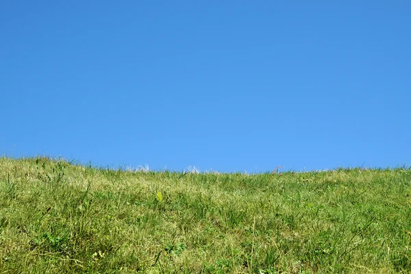 在晴朗的蓝天下的绿色草原 — 图库照片