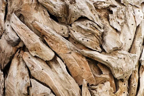 Pieces of ornamental dried wood — Stock Photo, Image