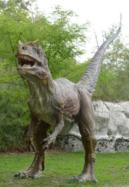 tyrannosaurus Rex'in modeli