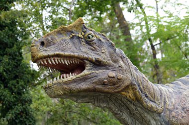 dinozor Tyrannosaurus rex