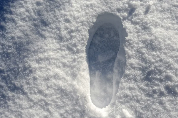 Empreinte dans la neige fraîche — Photo