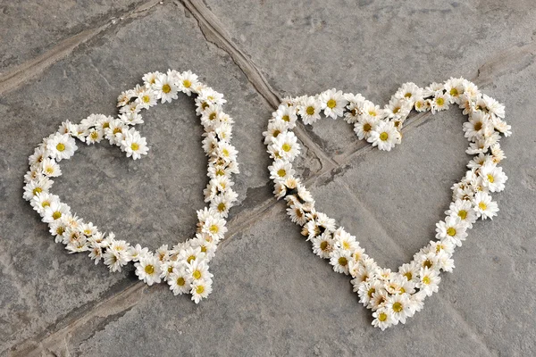 Two heart shapes made of daisies, on pavement — Stock Photo, Image