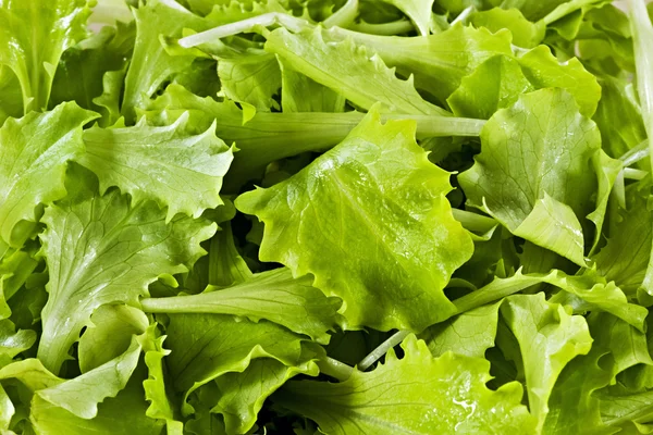 Fondo hecho de hojas de ensalada verde fresca — Foto de Stock