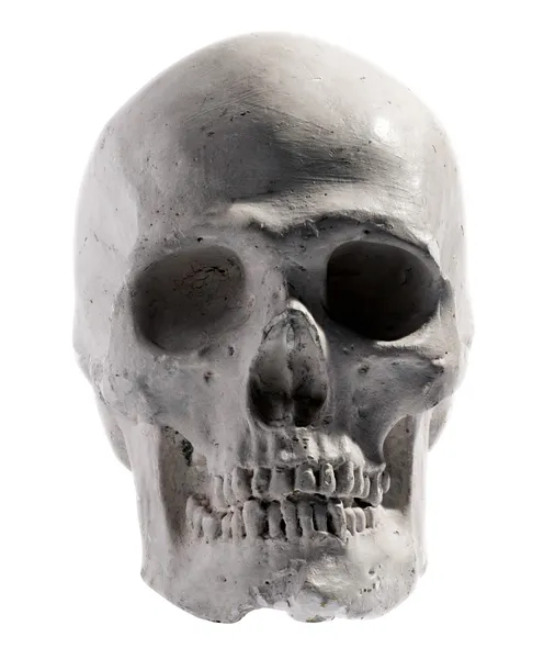 Modell av en mänsklig skalle isolerad på vit — Stockfoto
