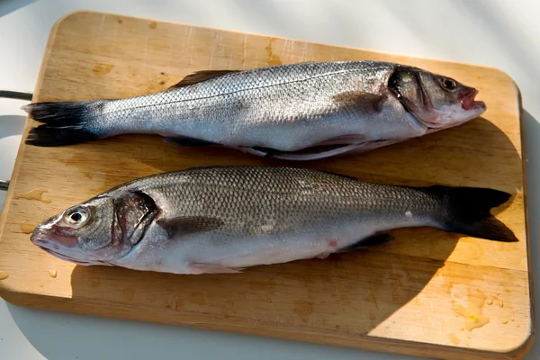 Two cleaned uncooked fresh bass — Stock Photo, Image