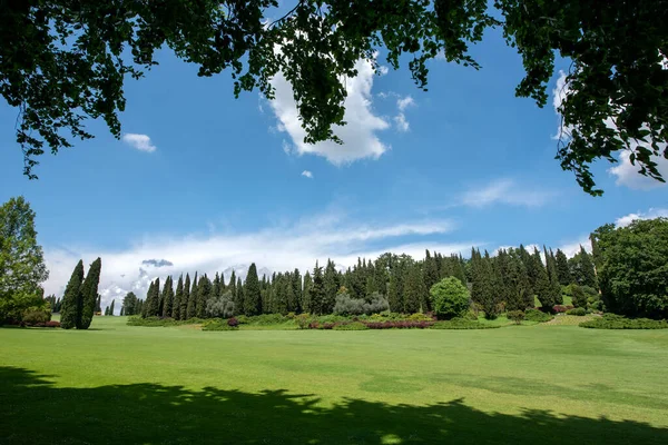常緑のヒノキの木と大きなオープンガーデン風光明媚な風景の中に雲と日当たりの良い青空の下で緑の芝生のきれいな手入れの行き届いた芝生の上で見た — ストック写真