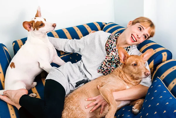 快乐的女主人躺在蓝色的沙发上 在家里明亮的客厅里抱着两只可爱的法老猎犬 — 图库照片