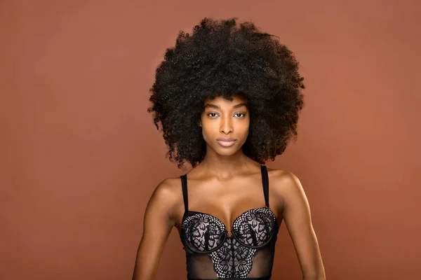 魅力的なアフリカ系アメリカ人女性モデルとともに黒アフリカの髪型身に着けていますスタイリッシュな下着見ますカメラでスタジオで茶色の背景 — ストック写真
