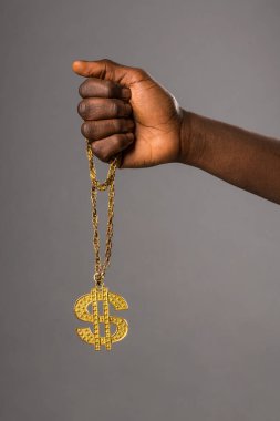 Stüdyonun gri arka planında dolar sembolü olan altın yakalı siyah mahsul.