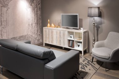 Rahat bir kanepe, lamba ve dolabın yanına yerleştirilmiş dekorasyon ve televizyonla birlikte evdeki şık küçük oturma odasında.