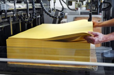 Unrecognizable employee putting sheets of yellow paper into offset printing machine during work in typography workshop