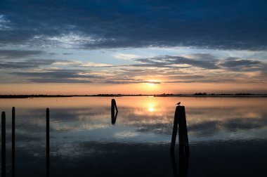 Tranquil lake with poles and bird located against cloudy sunset sky in evening in nature
