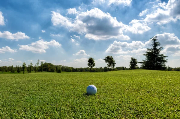 Erba Verde Lussureggiante Del Campo Club Oro Sotto Cielo Blu — Foto Stock