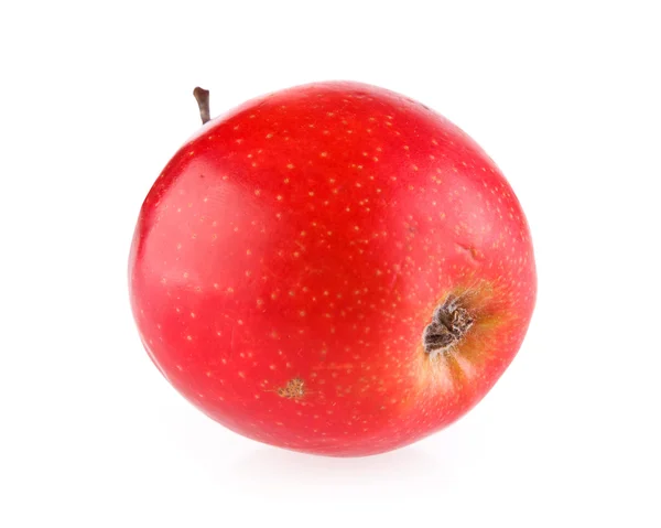 Reifer roter Apfel — Stockfoto