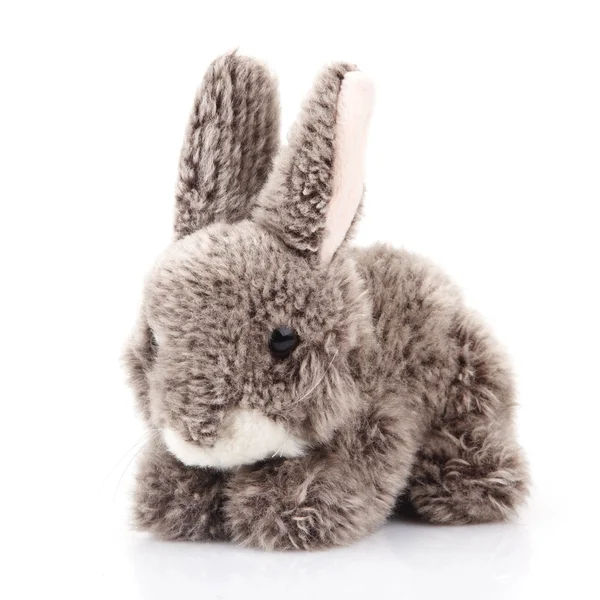 Игрушечный кролик — стоковое фото