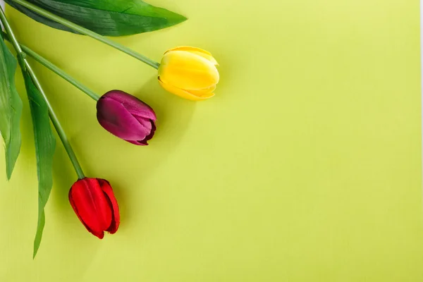 Tulipani artificiali su un verde — Foto Stock