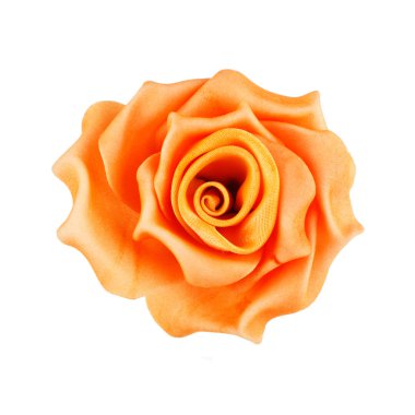 Beyaz üzerine izole gül