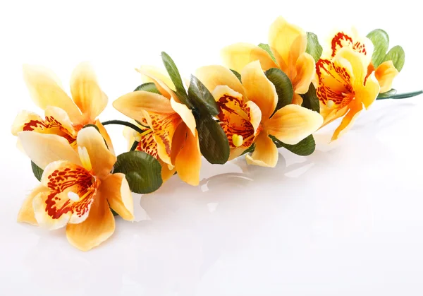 Orquídea naranja —  Fotos de Stock
