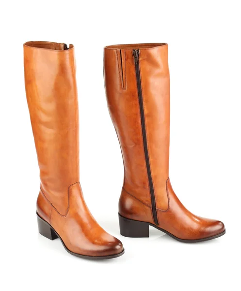 Bottes femelles marron — Photo