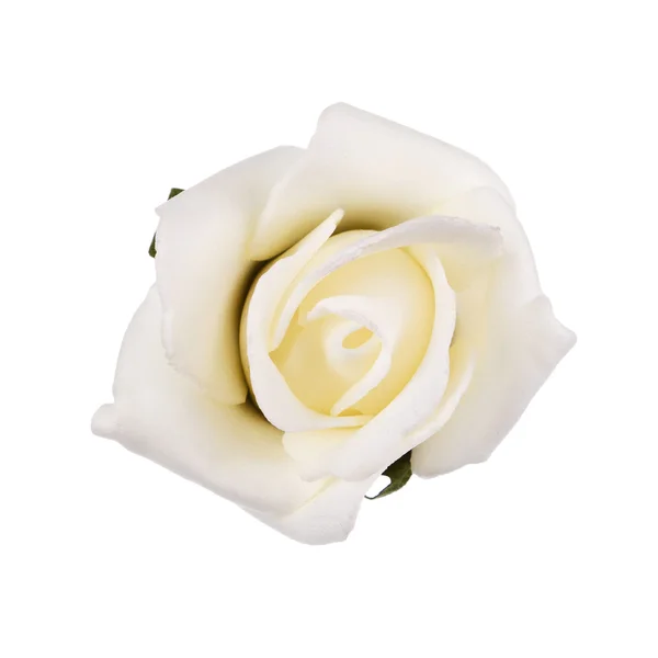 Elszigetelt fehér virág — Stock Fotó