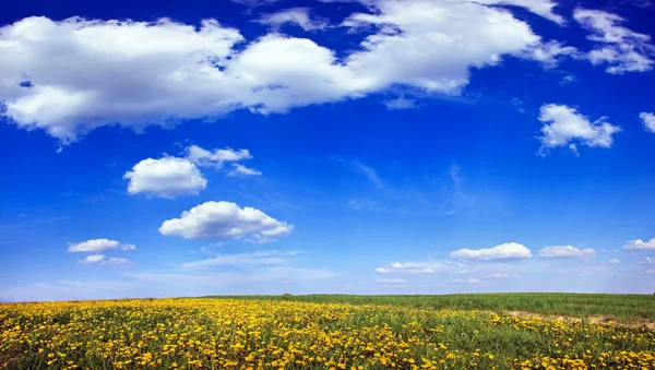 Panorama av blå himmel – stockfoto