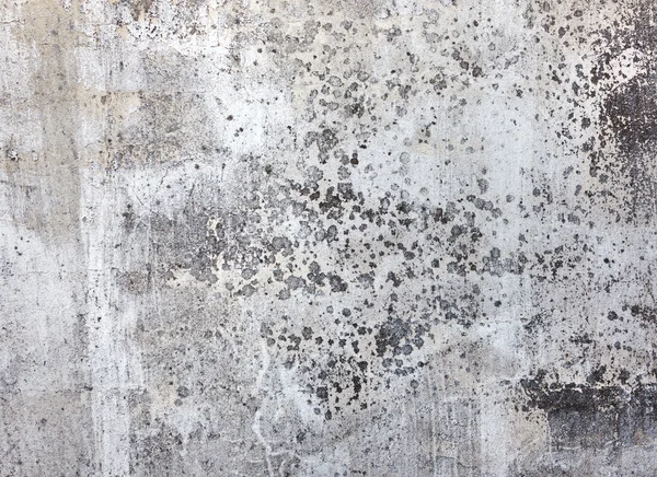 Concrete texture — Stock Photo, Image