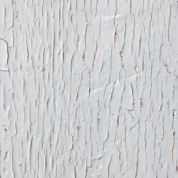 Cracked gray paint texture — Stock Photo, Image