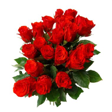 Güzel kırmızı güller beyaz arka planda kapanıyor. Üst görünüm.