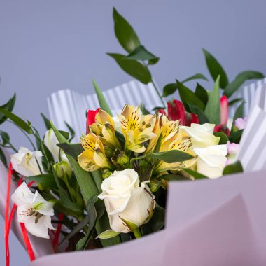 Close up of bright bouquet of colored flowers wrapped in gift paper. Bouquet of yellow, red and white flowers with greenery as a symbol of compliment to a woman. Blue background.