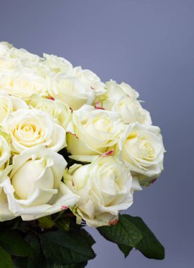 Close up of a bouquet of luxurious delicate white roses with green leaves on a gray background. Romantic banner. Place for text. Background for greetings and postcards.