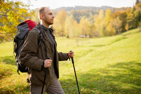 View of a profile of a young male hiker traveling in the mountains with a backpack and trekking stick. Concept of sports hiking and active lifestyle. Place for text. Blurred background.