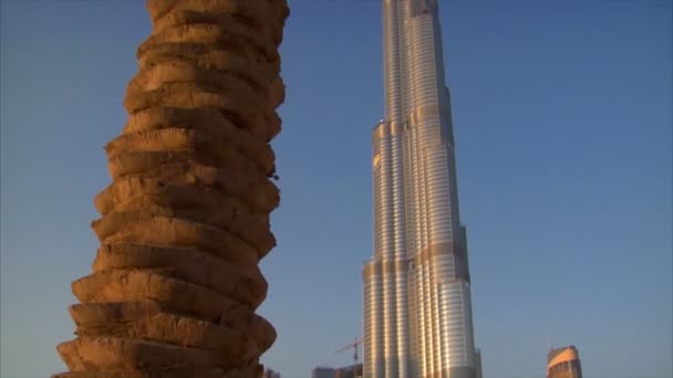 Palm op burj khalifa dubai — Stockvideo